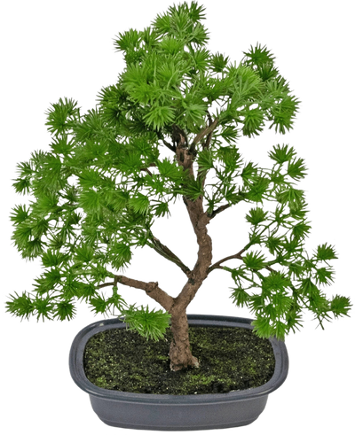 De Kunstplant Bonsai Juniper 30 cm heeft dicht heldergroen blad en een gedraaide stam, in een ondiepe grijze pot met donkere aarde, tegen een effen witte achtergrond.