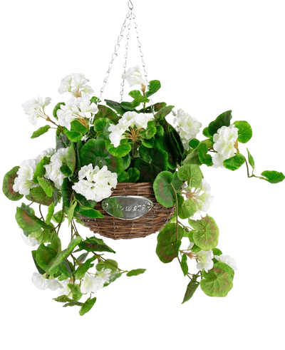 De Kunst begonia Wit in Mand UV 70cm heeft groene bladeren en witte begonia bloemen in een rieten mand met een metalen ketting, tegen een effen witte achtergrond.
