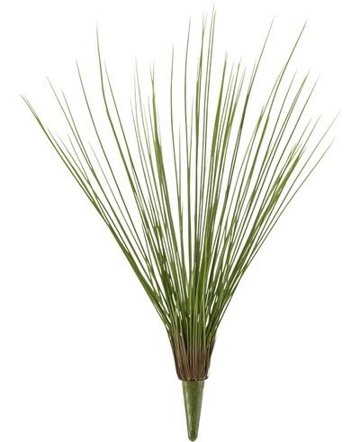 De Kunstgrasplant Royaal Gras UV 60 cm heeft hoge, dunne, groene kunstgrasstengels die aan de basis gebundeld zijn en naar buiten uitwaaieren, tegen een effen witte achtergrond.