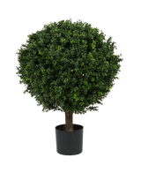 De Kunstplant Buxus op stam romeinse stijl UV 85cm is een ronde, weelderig groene kunstvorm met dichte bladeren in de vorm van een bal, in een kleine zwarte pot tegen een effen witte achtergrond.