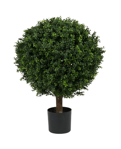 De Kunstplant Buxus op stam romeinse stijl UV 85cm is een ronde, weelderig groene kunstvorm met dichte bladeren in de vorm van een bal, in een kleine zwarte pot tegen een effen witte achtergrond.
