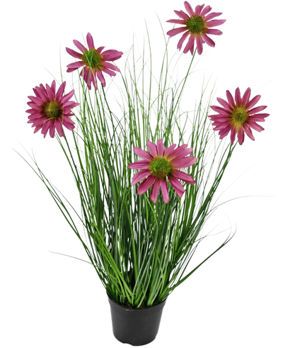 De Kunst Grasplant Chrysant 60 cm brandvertragend heeft lange, dunne groene grasachtige bladeren en zes roze chrysantenbloemen met een geel hart in een zwarte pot, tegen een effen witte achtergrond.