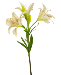 Artificial flower Asian lily 66 cm pink