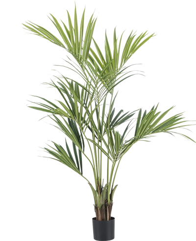 De Kunstplant Kentia Palm 150 cm is een hoge palm in pot met lange, slanke groene bladeren en meerdere stammen, tegen een effen witte achtergrond.