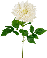 Een Kunst Georgine Real Touch wit 70cm heeft een levensechte enkele witte dahlia met gelaagde bloemblaadjes en groen gekartelde bladeren op een lange steel, tegen een effen witte achtergrond.