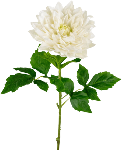 Een Kunst Georgine Real Touch wit 70cm heeft een levensechte enkele witte dahlia met gelaagde bloemblaadjes en groen gekartelde bladeren op een lange steel, tegen een effen witte achtergrond.