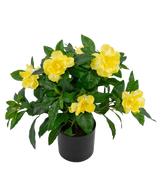 De Kunstplant Gardenia UV 39 cm is een weelderig groene kunstplant met grote, levendige gele bloemen en glanzende bladeren in een zwarte pot, tegen een effen witte achtergrond.