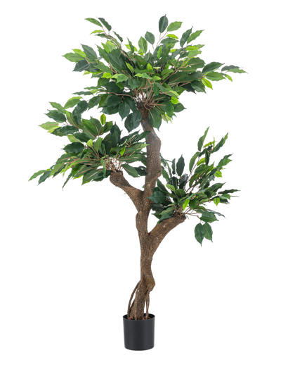 De Kunstplant Ficus Crazy 120 cm is een hoge kunstboom in pot met meerdere bruine stammen en dicht groen blad, afgebeeld tegen een effen witte achtergrond.