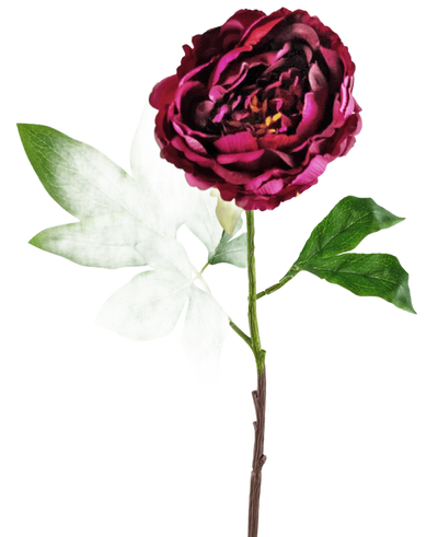 De Kunstbloem Pioenroos 61 cm aubergine is een kunstpioen met gelaagde donkerrode bloemblaadjes op een slanke steel, geaccentueerd door groene en lichtwitte bladeren, tegen een effen witte achtergrond.