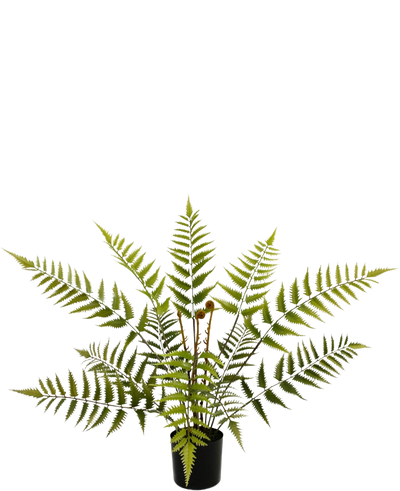 De Kunstplant Varen 68 cm heeft lange, vederlichte groene varenbladeren en wordt geleverd in een compacte zwarte pot, hier afgebeeld tegen een effen witte achtergrond.