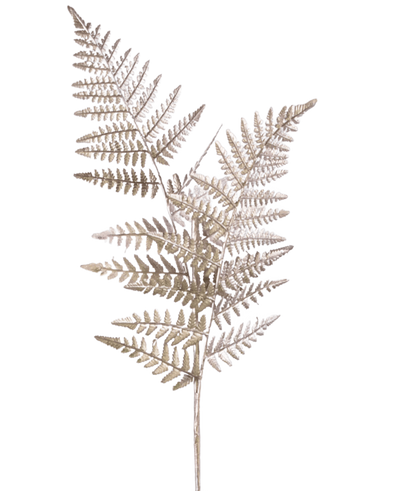 A single Asparagus artificial branch 125 cm silver, with light brown dried fern-like stems with fine, feather-light leaves, against a plain white background.
