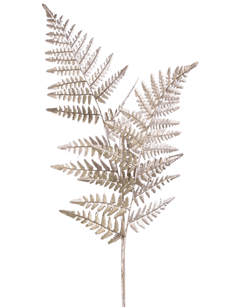 A single Asparagus artificial branch 125 cm silver, with light brown dried fern-like stems with fine, feathery leaves, against a plain white background.