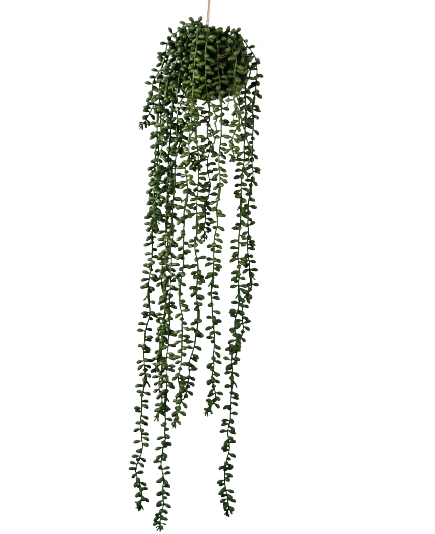 The Artificial hanging plant Senecio ball 71 cm has long, winding green tendrils that emerge from a round cluster at the top, perfect for adding greenery against a plain white background.