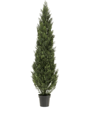 De Kunstplant Conifeer UV 180 cm is een hoge, smalle kunstgroene groenblijver met dicht groen blad in een zwarte kunststof pot, tegen een effen witte achtergrond.