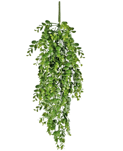 De Kunst hangplant Pannenkoek 61 cm heeft levendige groene kunstbladeren die naar beneden vallen tegen een effen witte achtergrond en lijkt op een echte hangende wingerd.