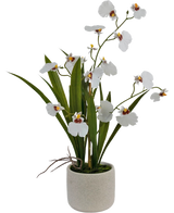 De Kunst Oncidium Real Touch 48 cm wit heeft levensechte witte orchideeën met groene bladeren, prachtig gerangschikt in een eenvoudige, ronde, lichtgekleurde pot van keramiek.
