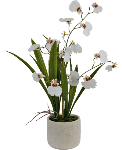 De Kunst Oncidium Real Touch 48 cm wit heeft levensechte witte orchideeën met groene bladeren, prachtig gerangschikt in een eenvoudige, ronde, lichtgekleurde pot van keramiek.