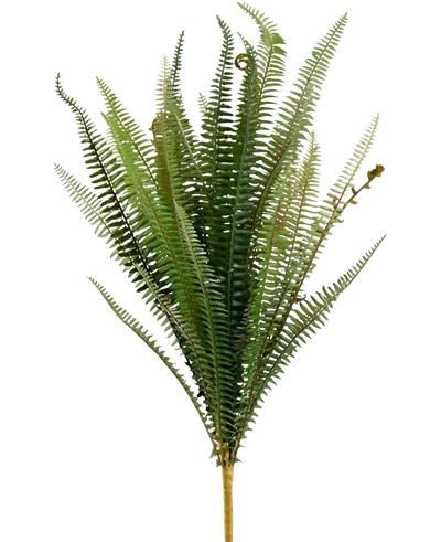 De Kunst Steek Varen 64 cm is een rechtopstaande groene kunstvaren met lange, smalle, vederachtige bladeren en een bruine stengel, tegen een effen witte achtergrond.