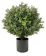 De Kunst Buxus op stam UV d30 cm is een ronde, weelderig groene kunstplant met kleine blaadjes in een zwarte pot. Een UV-zonnepictogram in de hoek geeft aan dat hij UV-bestendig is. De achtergrond is effen wit.