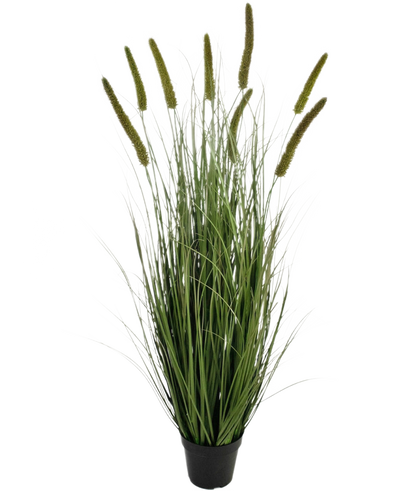 De Kunstgras Cattail Uiengraspot 120cm brandvertragend is een siergras in pot met lange, dunne groene sprieten en meerdere hoge, rechtopstaande zaadhoofden, tegen een effen witte achtergrond.