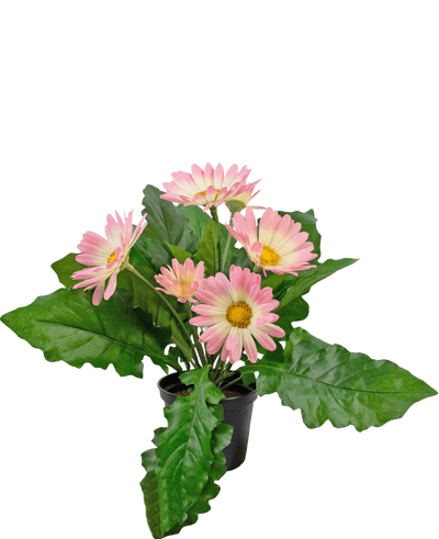 De Kunstplant Gerbera UV 28 cm roze heeft een kleine zwarte pot met levendige kunstroze gerberabloemen en weelderige groene bladeren, tegen een effen witte achtergrond.