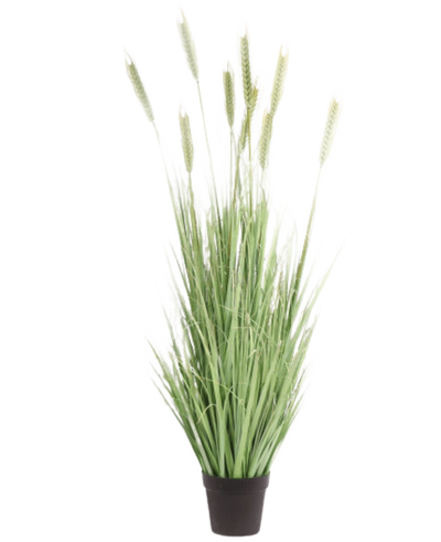 De Kunst Grasplant Groen 150 cm brandvertragend heeft hoge, slanke groene sprieten en tarweachtige stengels, die zorgen voor een natuurlijke uitstraling binnenshuis. Deze kunstgrasplant staat tegen een effen witte achtergrond.