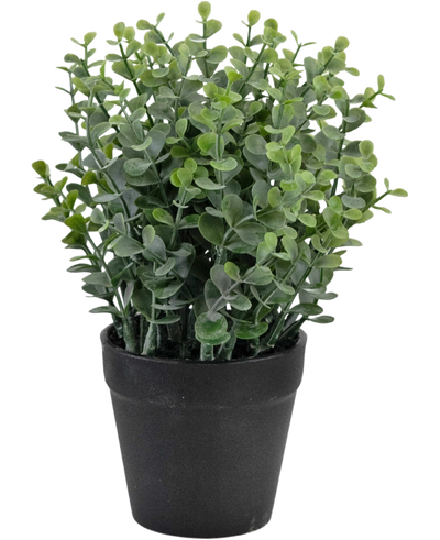 De Kunstplant Pumila 23 cm is een kleine groene potplant met ronde bladeren in een eenvoudige zwarte pot, afgebeeld tegen een witte achtergrond.