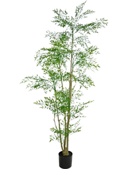 Artificial plant Ruscus 210 cm