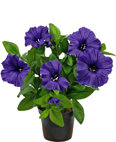 Een Kunstbloem Petunia plant UV 25 cm in paars met weelderige groene bladeren, uitgestald in een pot tegen een effen witte achtergrond.