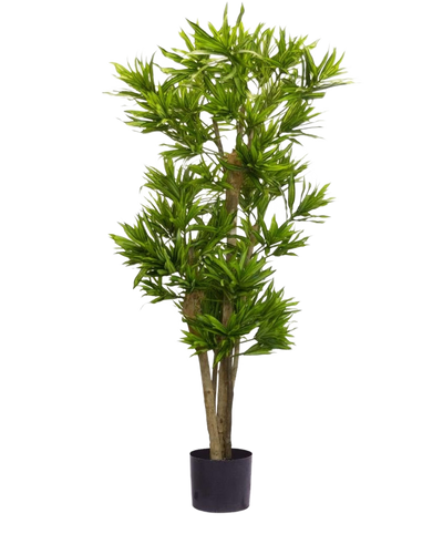 De Kunstplant Dracena Reflexa 150 cm is een hoge kunstplant met meerdere dunne stammen en trossen lange, slanke groene bladeren in een kleine zwarte pot, tegen een effen witte achtergrond.