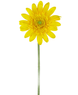 The Artificial Flower Gerbera 53 cm yellow is a single yellow artificial daisy with a green heart and a long green stem, against a plain white background.