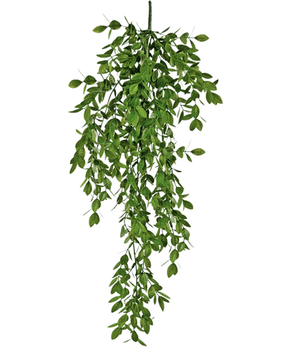 De Kunst hangplant Jasmin 70 cm heeft dichte trossen kleine groene blaadjes die op natuurlijke wijze naar beneden vallen en een weelderig, draperend effect creëren tegen een witte achtergrond.