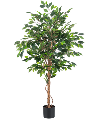 De Kunstplant Ficus Groen 150 cm heeft meerdere groene bladeren en gevlochten bruine stammen in een eenvoudige zwarte pot, tegen een effen witte achtergrond.