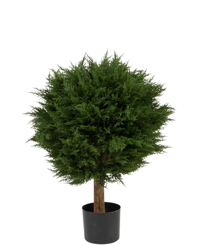 De Kunstplant Conifeer Deluxe UV 80 cm heeft een ronde, dichte groene bladbol op een enkele bruine stam, in een zwarte pot en tegen een effen witte achtergrond.