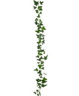 The Artificial hanging plant Ivy Boston Garland 180 cm green has a long green ivy tendril with multiple leaves, hanging vertically against a plain white background.