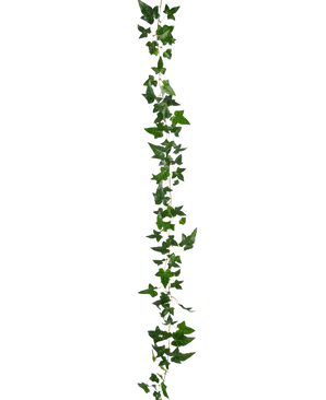 De Kunst hangplant Klimop Boston Slinger 180 cm groen heeft een lange groene klimoprank met meerdere bladeren, verticaal hangend tegen een effen witte achtergrond.
