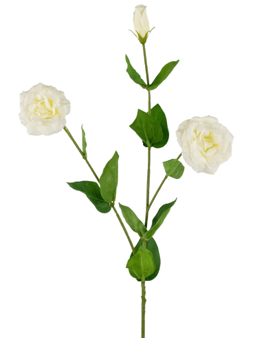 De Kunst Eustoma Real Touch Wit 72cm heeft een steel met drie witte lisianthus bloemen in verschillende bloeistadia en groene bladeren, geïsoleerd op een witte achtergrond.