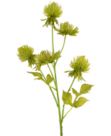 De Kunstbloem Distel 66 cm groen heeft vijf ronde, piekerige groene bloemen en een aantal gekartelde bladeren op een kunstmatige steel, tegen een effen witte achtergrond.