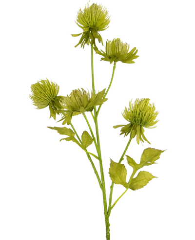 De Kunstbloem Distel 66 cm groen heeft vijf ronde, piekerige groene bloemen en een aantal gekartelde bladeren op een kunstmatige steel, tegen een effen witte achtergrond.