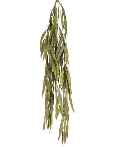 De Kunst hangplant Aloë Vera 102 cm heeft lange, smalle groene bladeren met gekartelde randen die naar beneden vallen tegen een effen witte achtergrond.