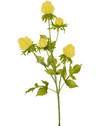 Artificial flower Distel 66 cm cream