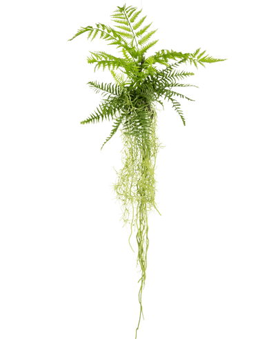 De Kunst hangplant Varen 90 cm heeft weelderige groene varenbladeren met lange, slepende stengels die naar beneden hangen tegen een effen witte achtergrond.