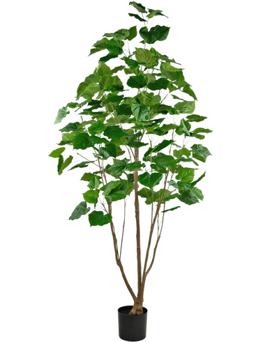 De Kunstplant Ficus 210 cm is een hoge kamerplant in pot met meerdere slanke bruine stengels en weelderige grote groene bladeren, tegen een effen witte achtergrond.