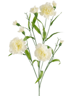De Kunstbloem Anjer tros 70 cm wit heeft een steel met meerdere witte anjerbloemen en groene bladeren tegen een effen witte achtergrond.