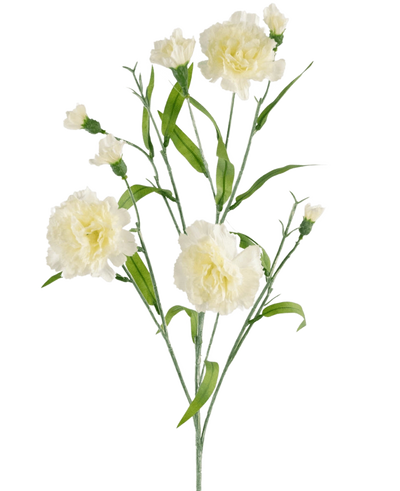 De Kunstbloem Anjer tros 70 cm wit heeft een steel met meerdere witte anjerbloemen en groene bladeren tegen een effen witte achtergrond.