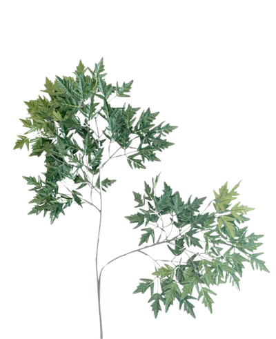 De Kunstblad Ming Aralia 50 cm groen brandvertragend is een hoge, slanke kunstplant met dunne stengels en trossen groene bladeren met gekartelde randen tegen een effen witte achtergrond.