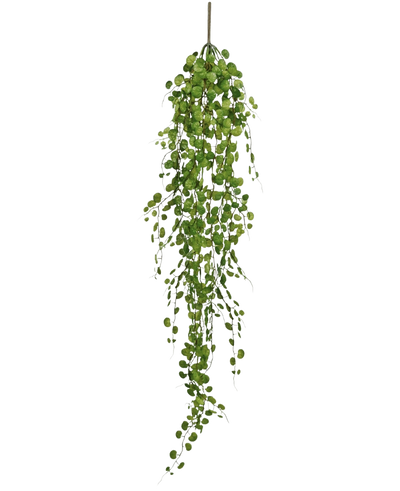 De Kunst hangplant Pumila 100 cm heeft een lange slingerende liaan met kleine, ronde groene blaadjes die aan een enkele stengel hangen, tegen een effen witte achtergrond.