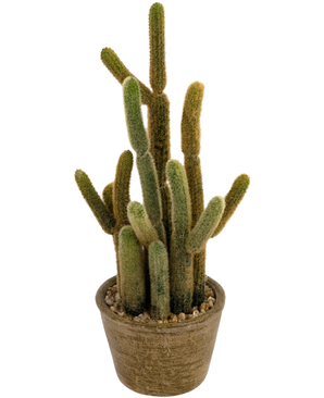 De Kunst Cactus Cereus 35 cm heeft meerdere lange, donzige groene en bruine stengels die in verschillende richtingen omhoog groeien, in een ronde pot met textuur en decoratieve stenen.