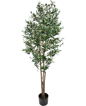 De Kunst olijfboom UV 180 cm is een hoge nep olijfboom met slanke takken en groene bladeren, UV-bestendig, geleverd in een eenvoudige zwarte pot en mooi uitgelicht tegen een witte achtergrond.
