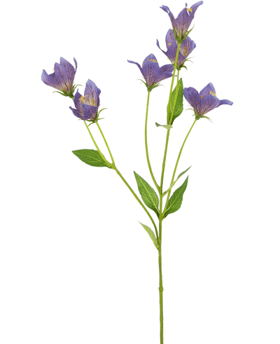 Het Kunstbloem Grasklokje 62 cm paars heeft een enkele groene steel met meerdere takken, elk versierd met delicate paarse bloemen en groene bladeren, tegen een effen witte achtergrond.